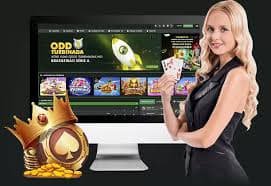 6bet
